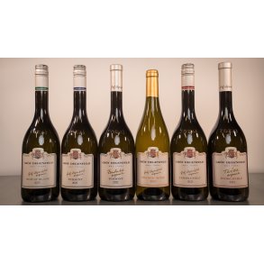 Gr�f Degenfeld T�r