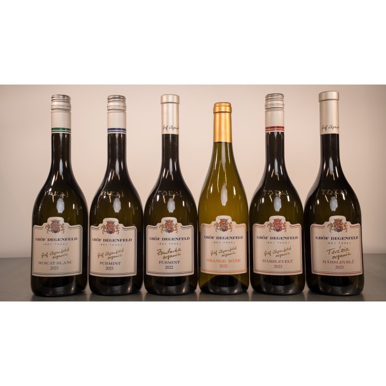 Gr�f Degenfeld T�r